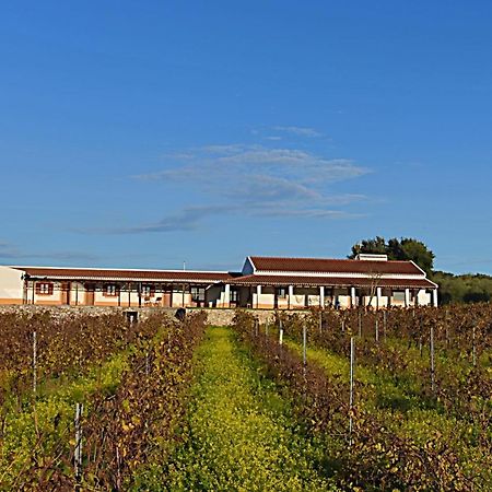 Vila Ruiva  Turismo Rural Pedremoura旅馆 外观 照片