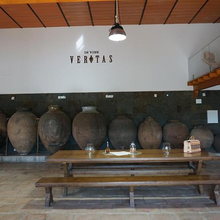 Vila Ruiva  Turismo Rural Pedremoura旅馆 外观 照片