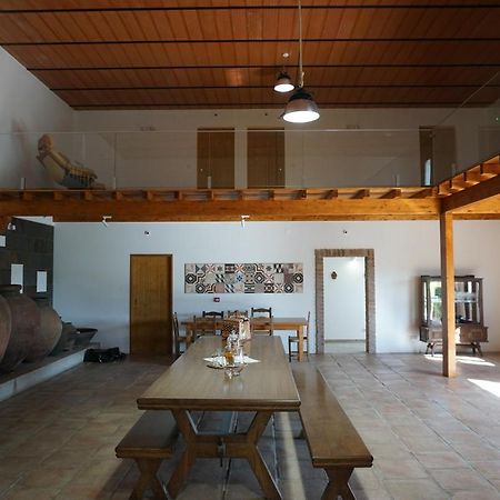 Vila Ruiva  Turismo Rural Pedremoura旅馆 外观 照片