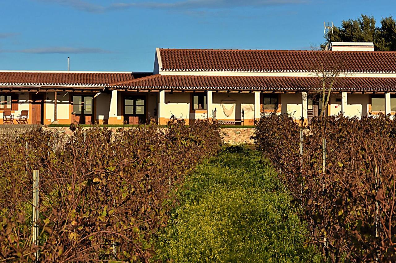 Vila Ruiva  Turismo Rural Pedremoura旅馆 外观 照片