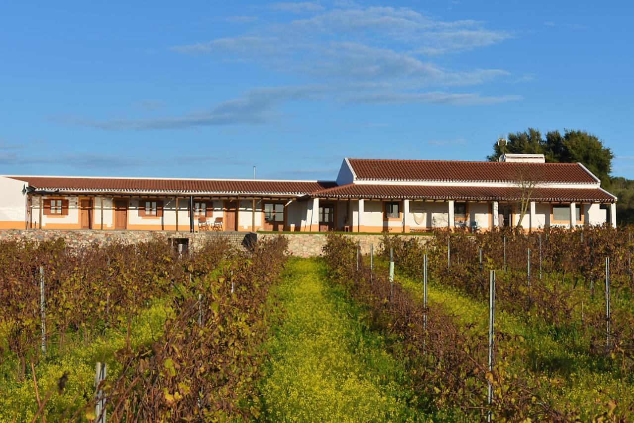 Vila Ruiva  Turismo Rural Pedremoura旅馆 外观 照片