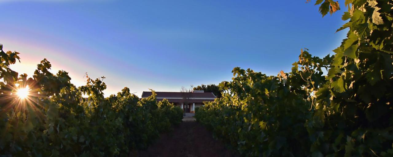 Vila Ruiva  Turismo Rural Pedremoura旅馆 外观 照片
