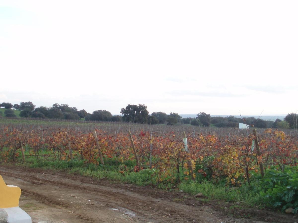 Vila Ruiva  Turismo Rural Pedremoura旅馆 外观 照片